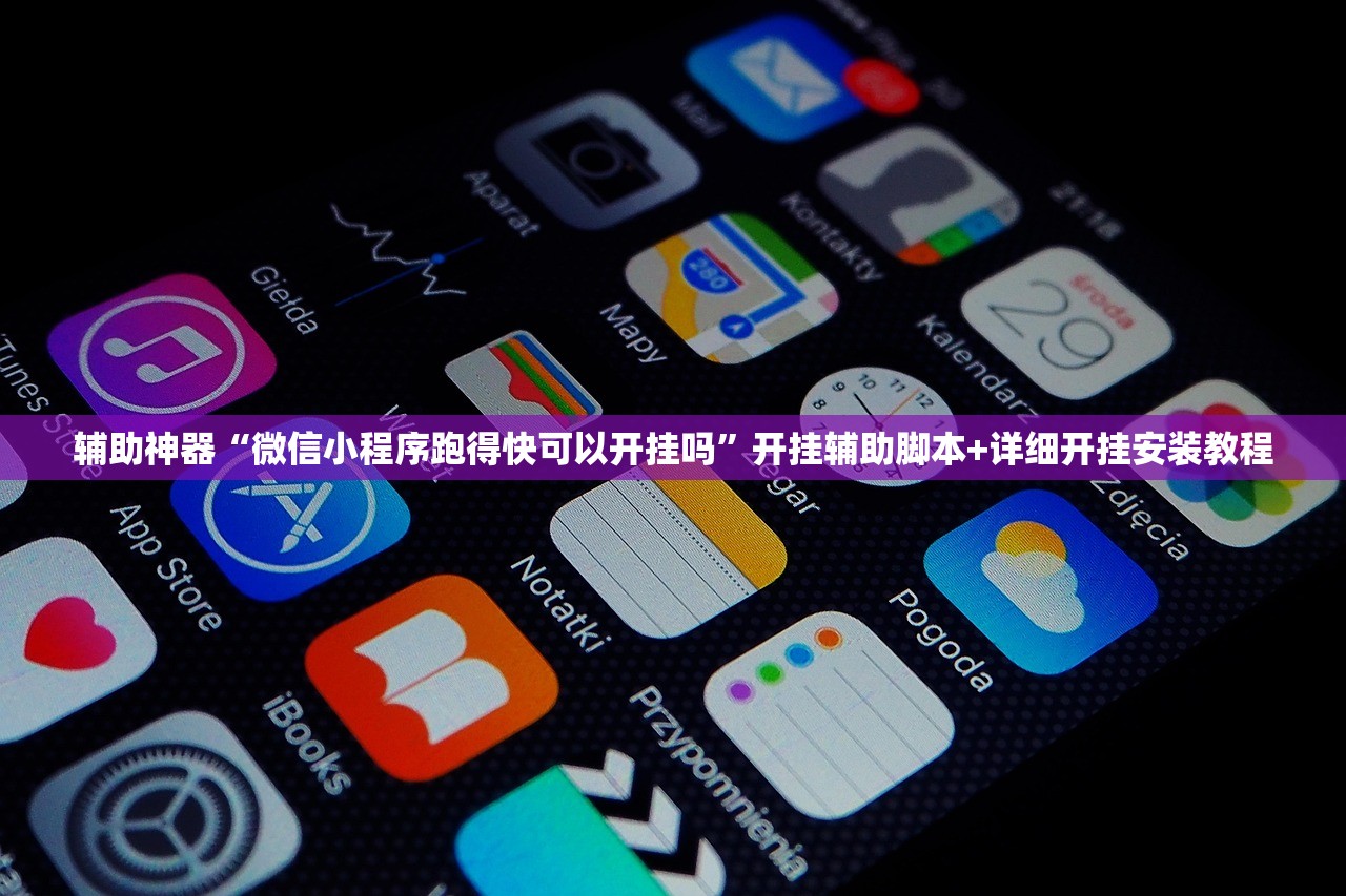 辅助神器“微信小程序跑得快可以开挂吗”开挂辅助脚本+详细开挂安装教程