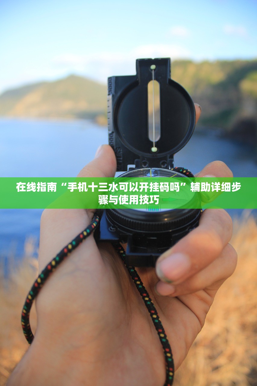 在线指南“手机十三水可以开挂码吗”辅助详细步骤与使用技巧