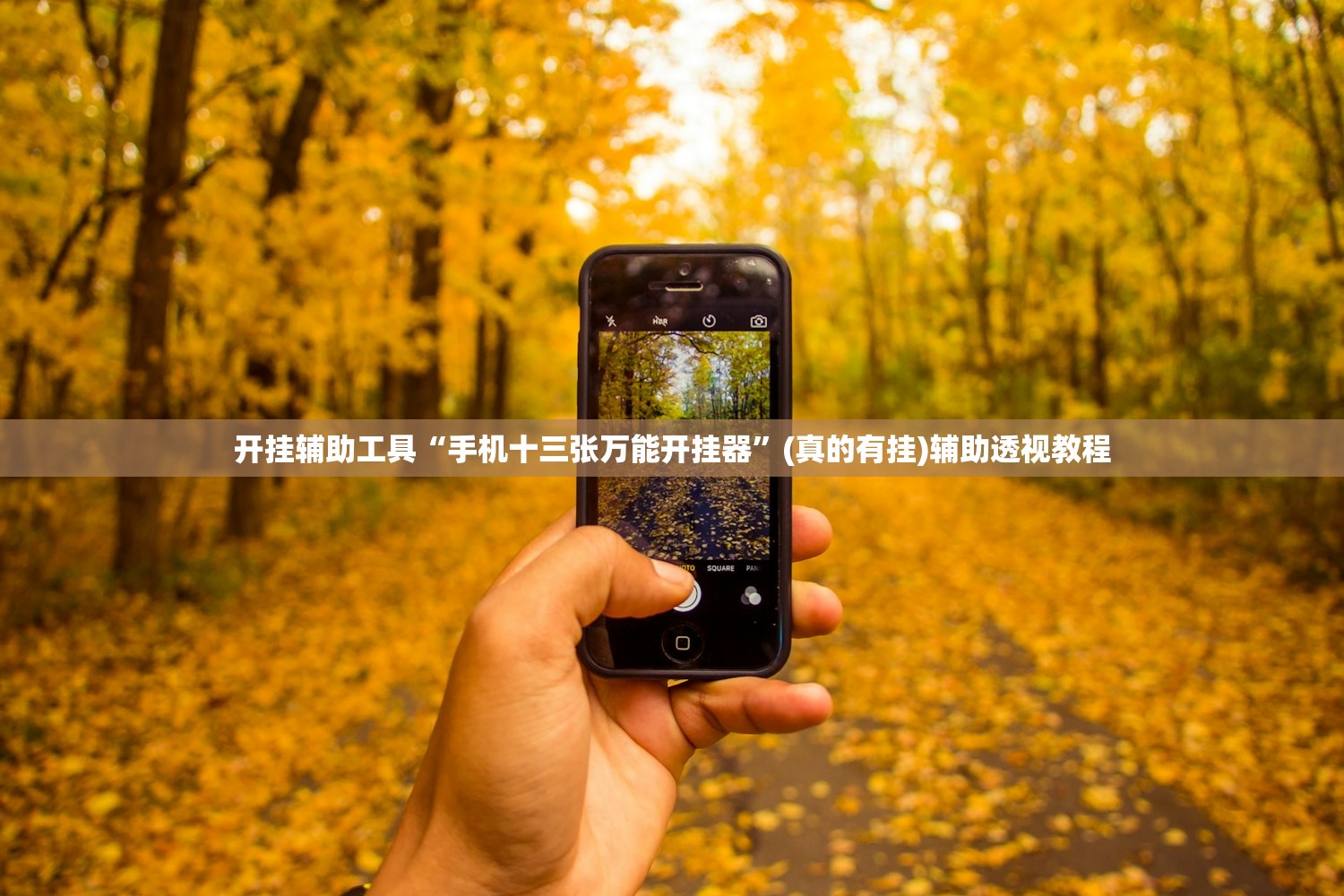 开挂辅助工具“手机十三张万能开挂器”(真的有挂)辅助透视教程