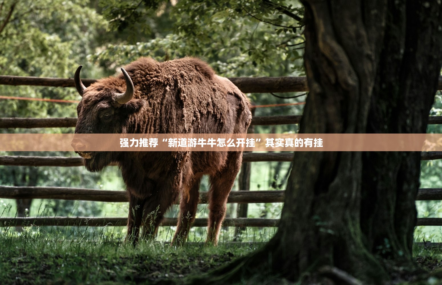 强力推荐“新道游牛牛怎么开挂	”其实真的有挂