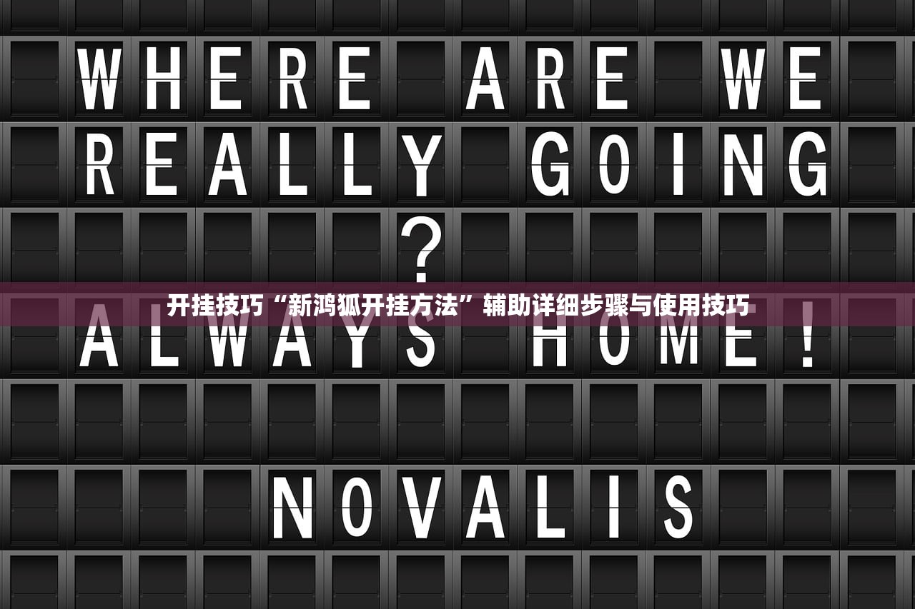 开挂技巧“新鸿狐开挂方法	”辅助详细步骤与使用技巧