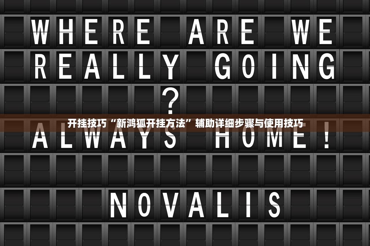 开挂技巧“新鸿狐开挂方法	”辅助详细步骤与使用技巧