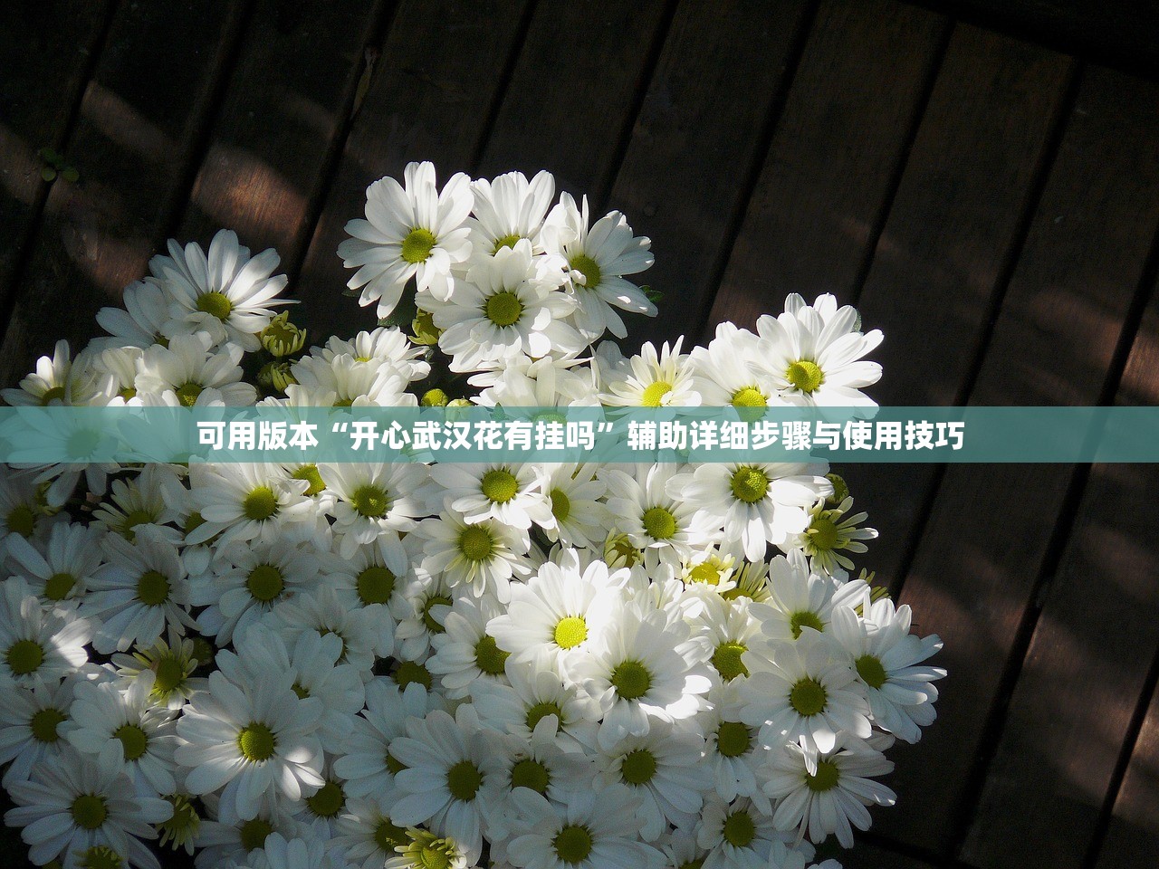 可用版本“开心武汉花有挂吗	”辅助详细步骤与使用技巧