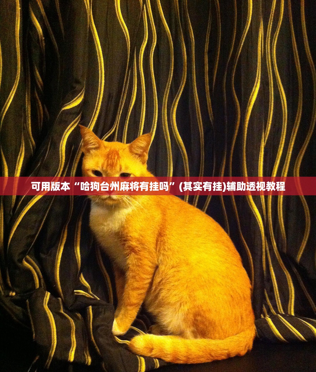 可用版本“哈狗台州麻将有挂吗”(其实有挂)辅助透视教程