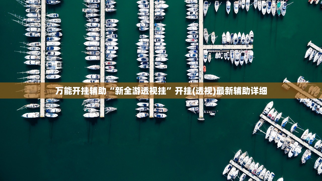 万能开挂辅助“新全游透视挂”开挂(透视)最新辅助详细